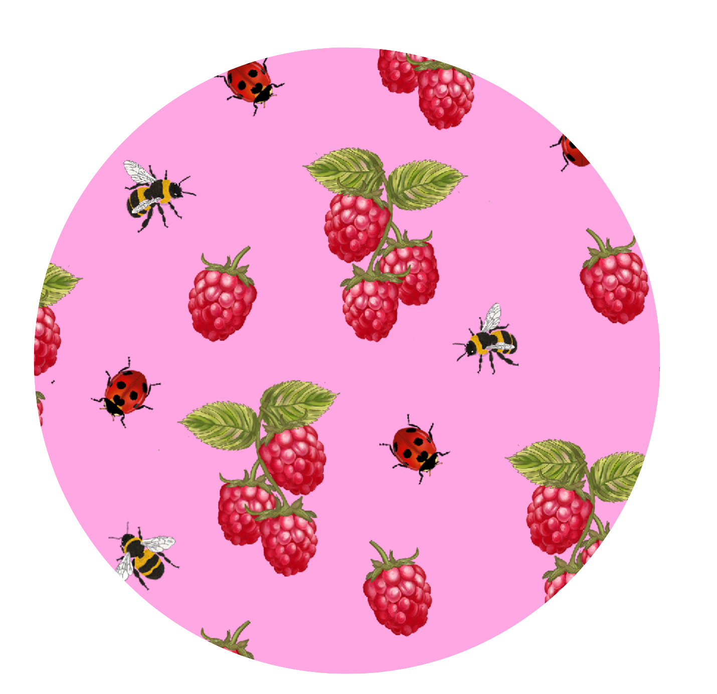 Retro Raspberri