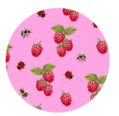 Retro Raspberri