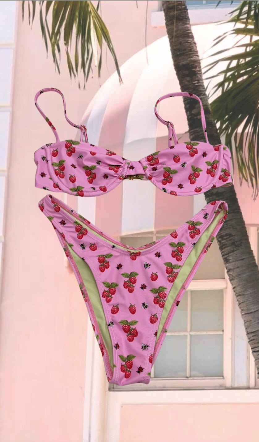 Retro Raspberri